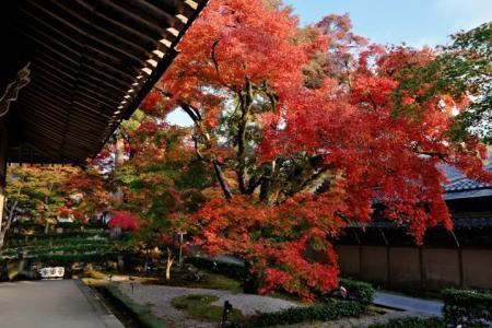 永源寺 日本滋贺县旅游指南 滋贺 琵琶湖