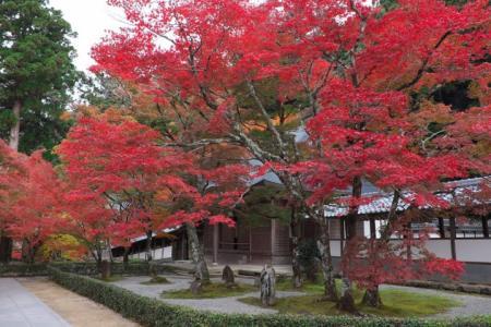 永源寺 日本滋贺县旅游指南 滋贺 琵琶湖